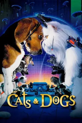 movie-card