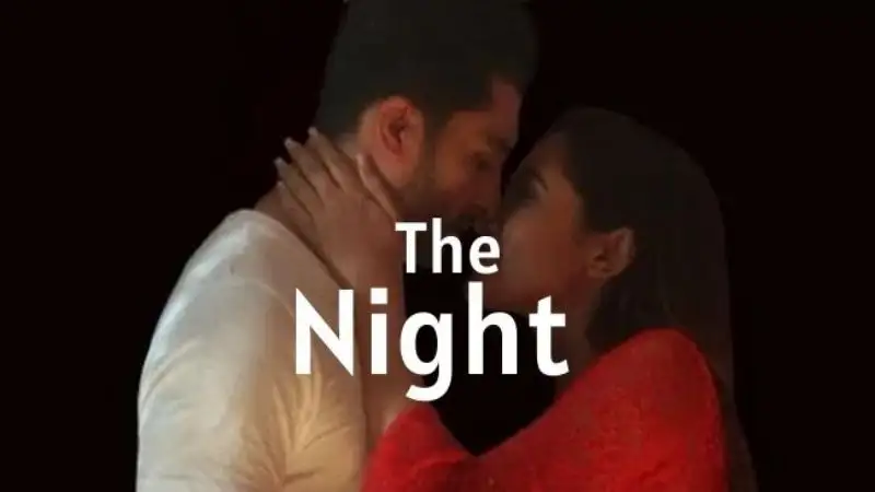 The Night 2019