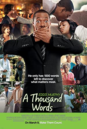 A Thousand Words 2012 in Hindi