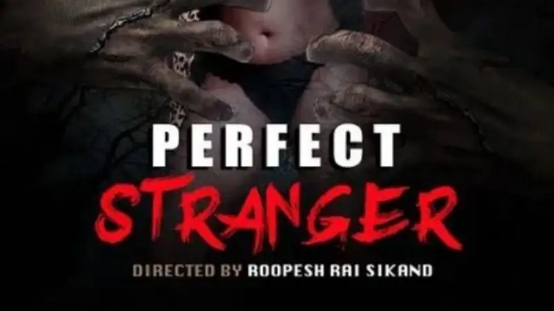 Perfect Stranger (2020)